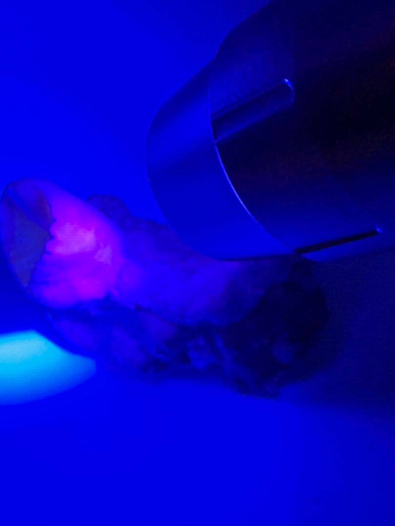 アラゴナイト　カップ　原石　鉱物標本　天然石　石　霞石