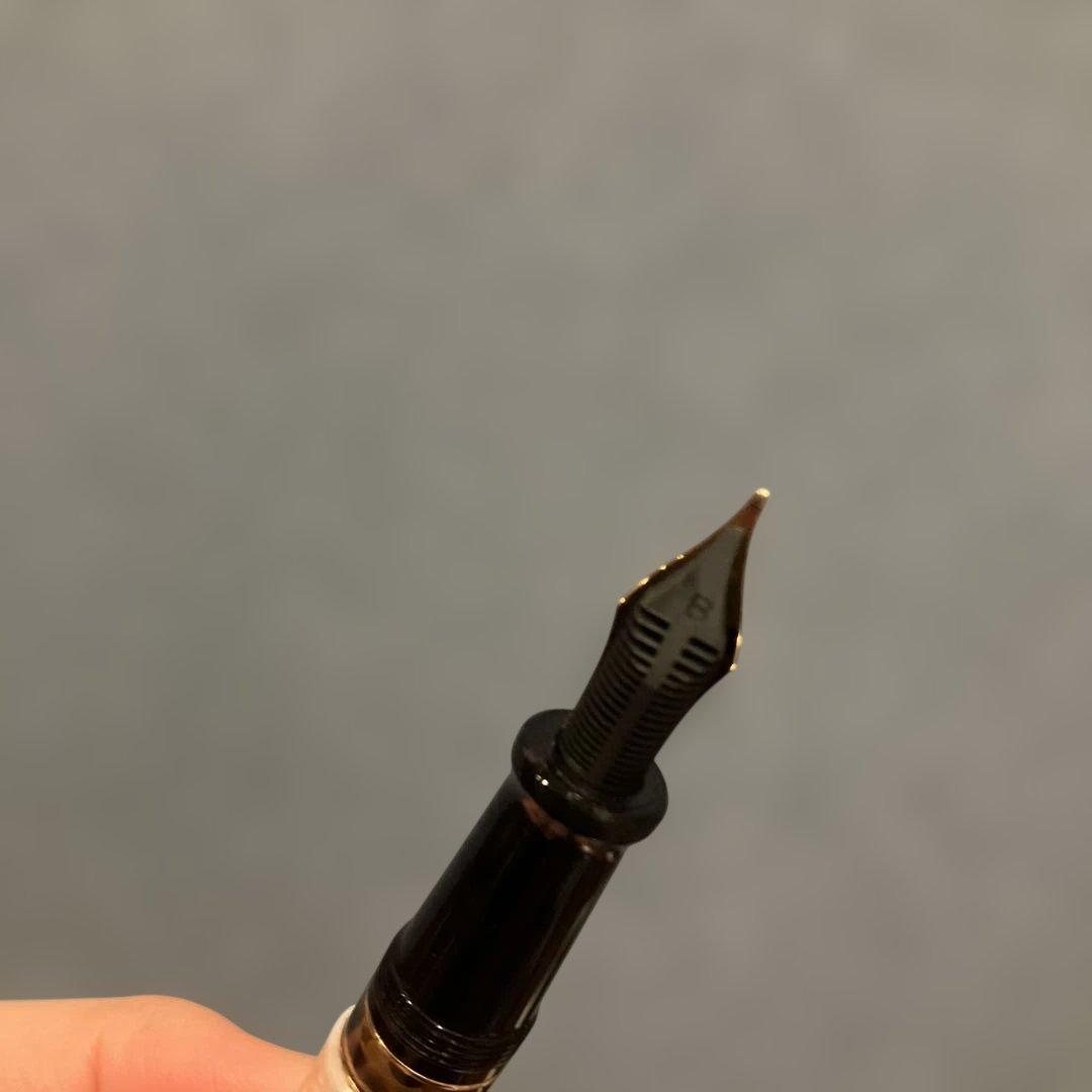 Aurora アウロラ Venere 万年筆 B