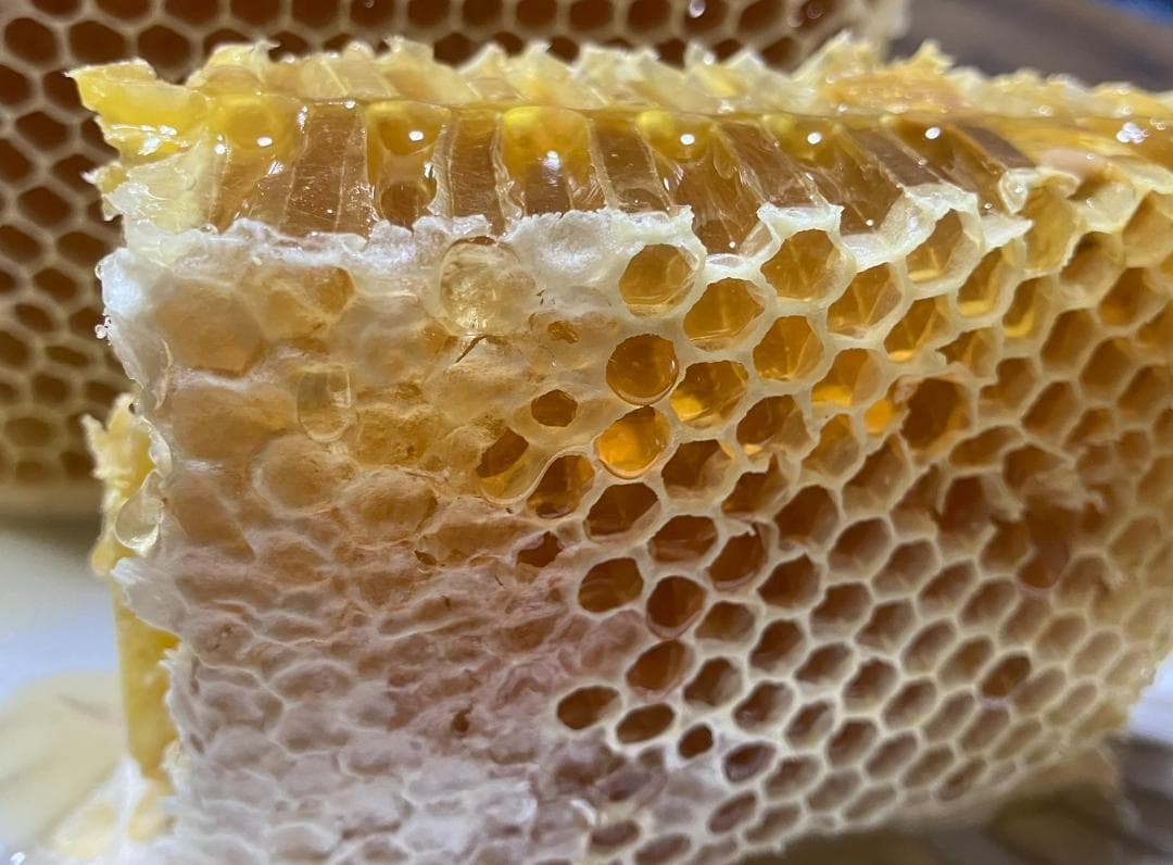 【再】アカシア 百花 1000g 各１本 長野県産 国産蜂蜜 生蜂蜜 西洋蜜蜂