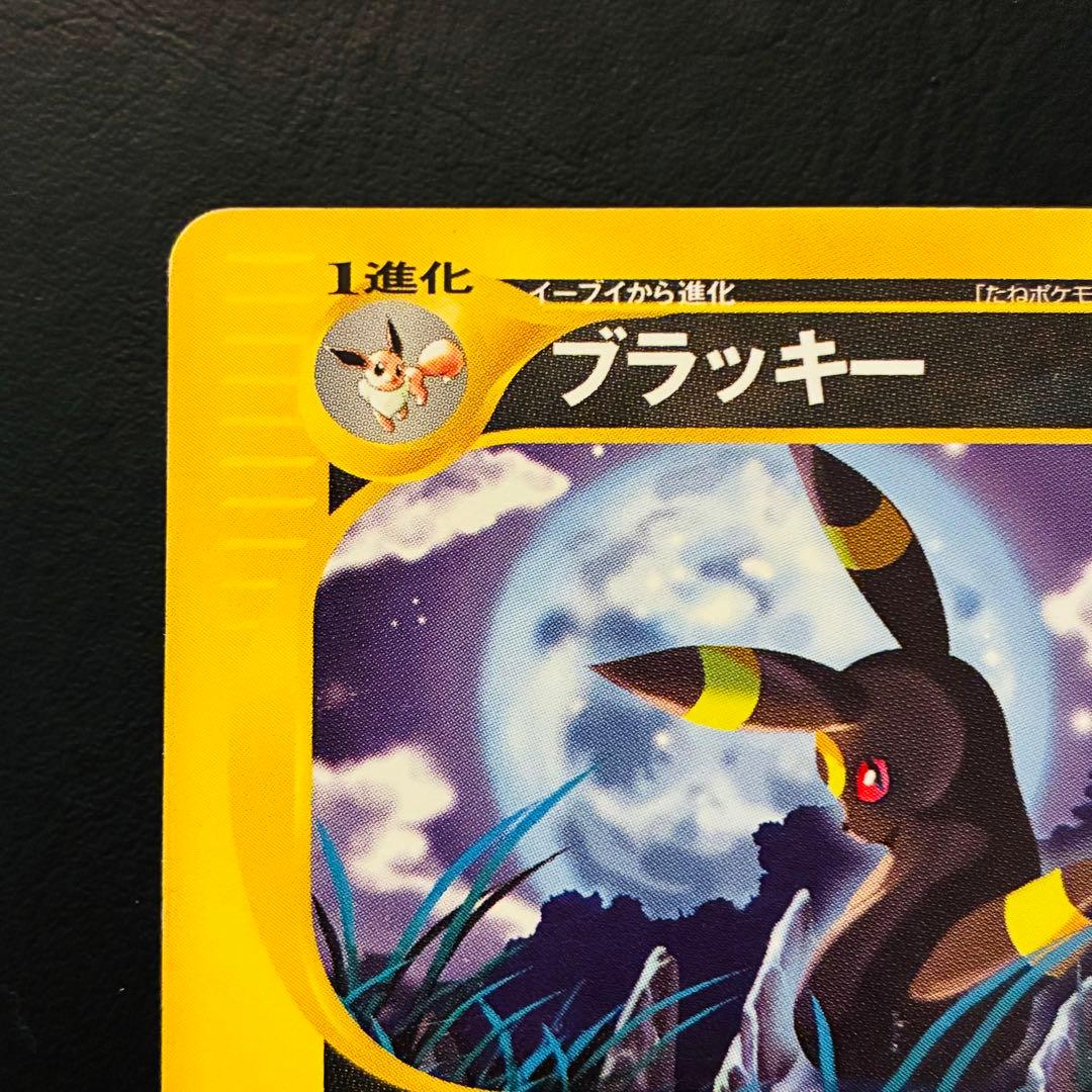 【希少】ブラッキー　eシリーズ　裂けた大地071/088