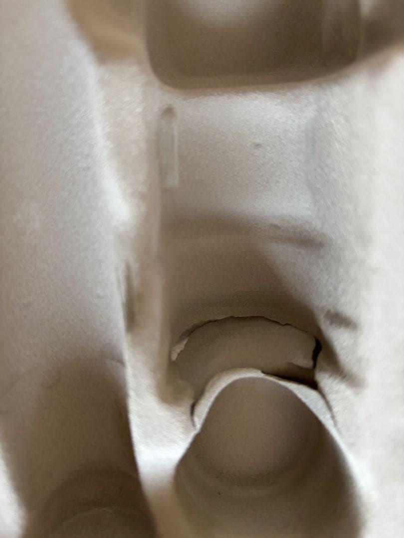 NUVO STUDENT FLUTE プラスチック フルート　ホワイト