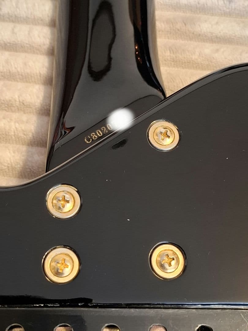 Pignose Guitar 純正ケース付き ピグノーズブロックインレイ ギター