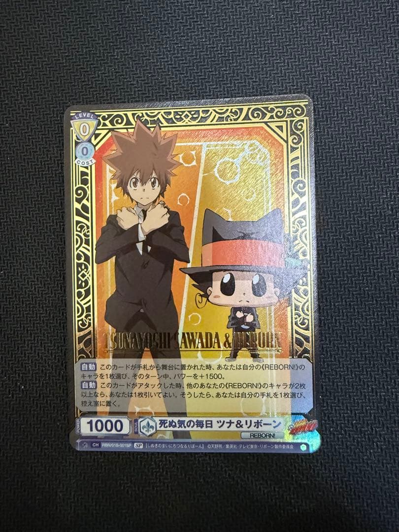 ヴァイスシュヴァルツ　ブラウ　死ぬ気の毎日　ツナ&リボーン　SP