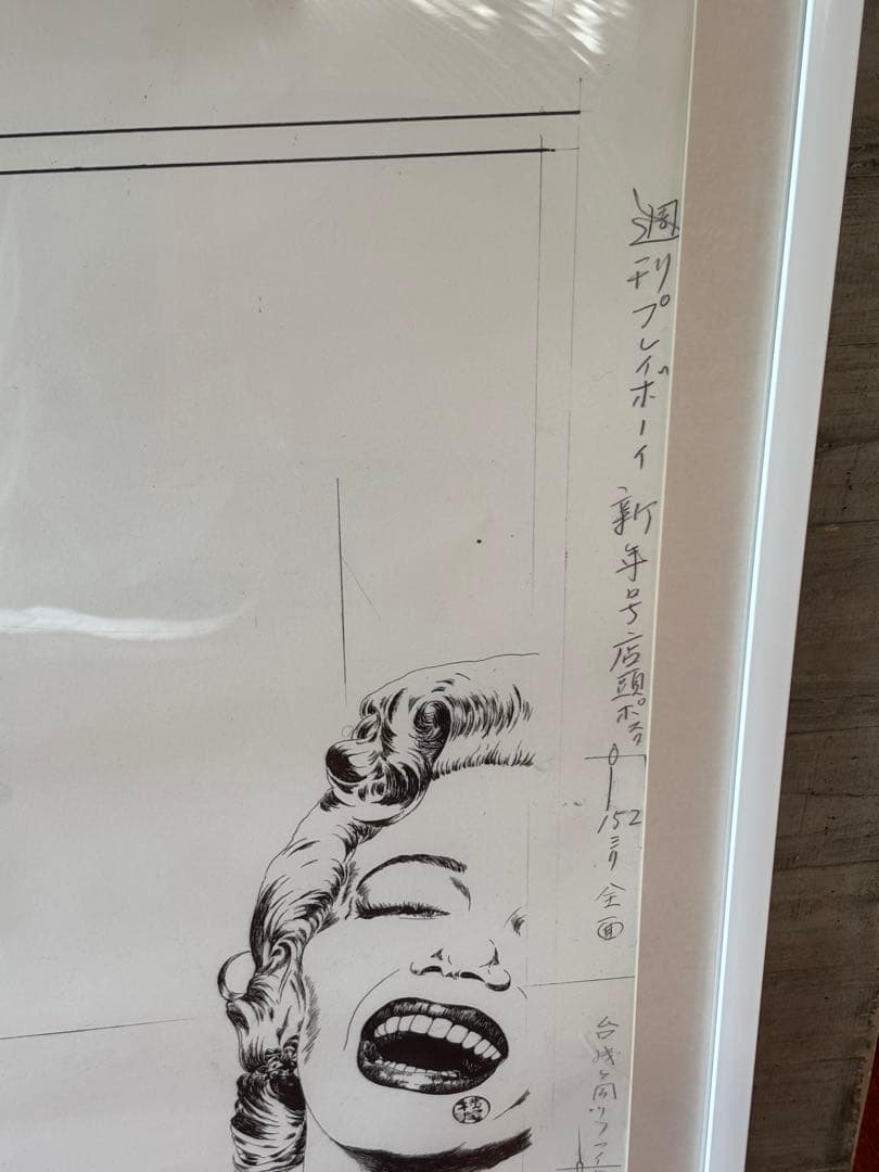 大人気　横尾忠則ポスター額装　TADANORI YOKOO プレイボーイ