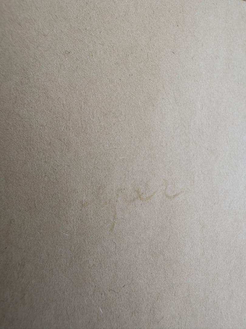 ペリカン 万年筆 スーベレーン M405 F