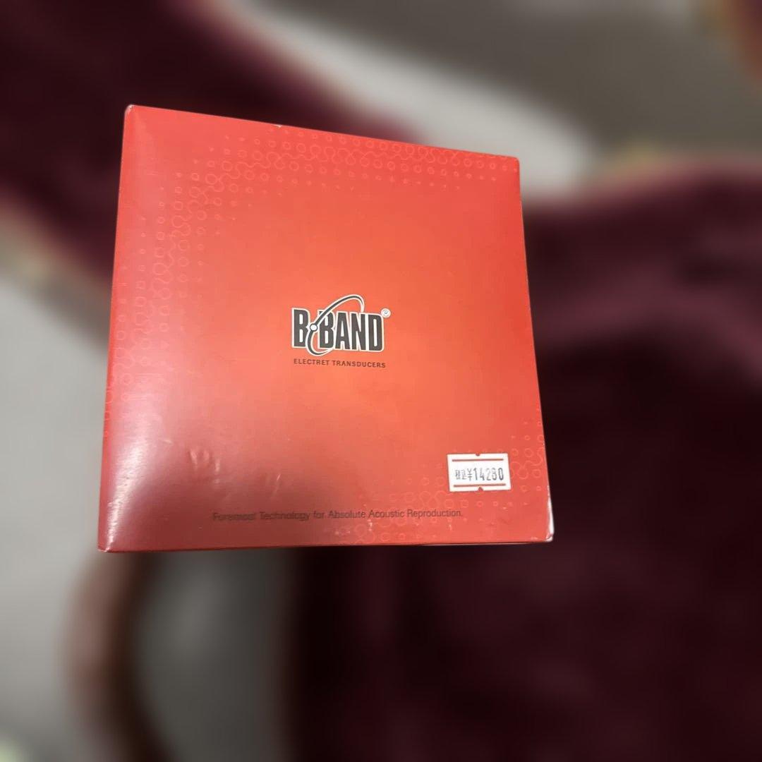 Morris SS-125Rアコースティックギター　ルシアーモデル