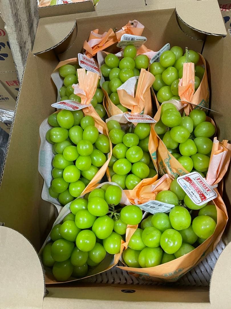 M♡　長野県シャインマスカット秀11房　高級品質