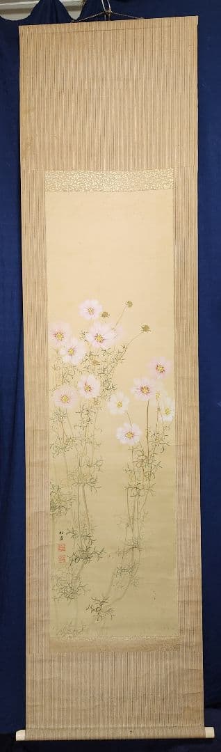 【コスモス図】田場松嶺 2670 掛け軸　肉筆