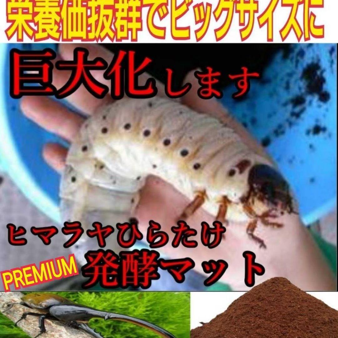 カブトムシ幼虫が大きくなる！プレミアム発酵マット50L特殊アミノ酸配合！産卵にも
