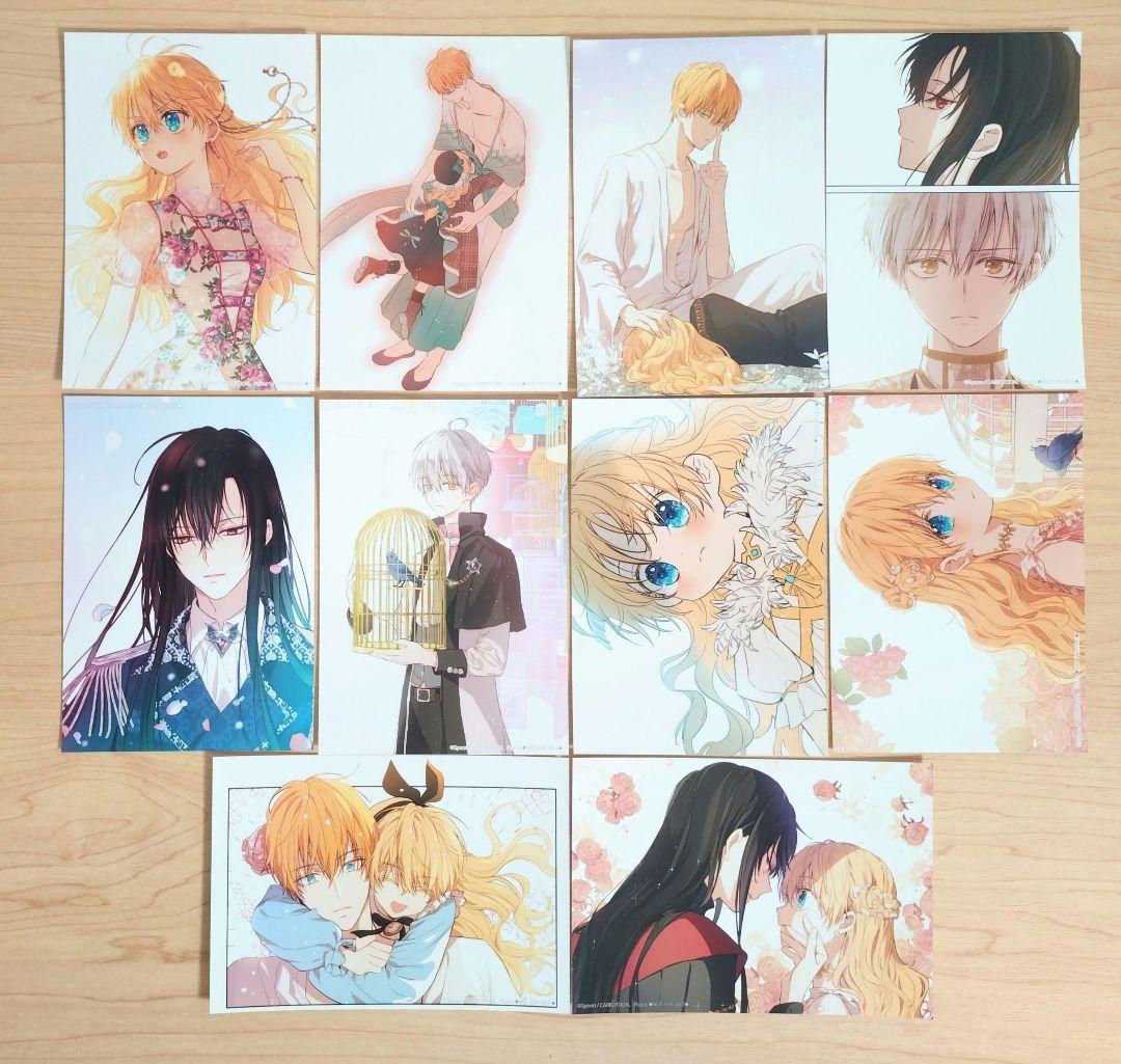 ある姫　本編完結記念　アニメイト特典　ブロマイド　コンプリート