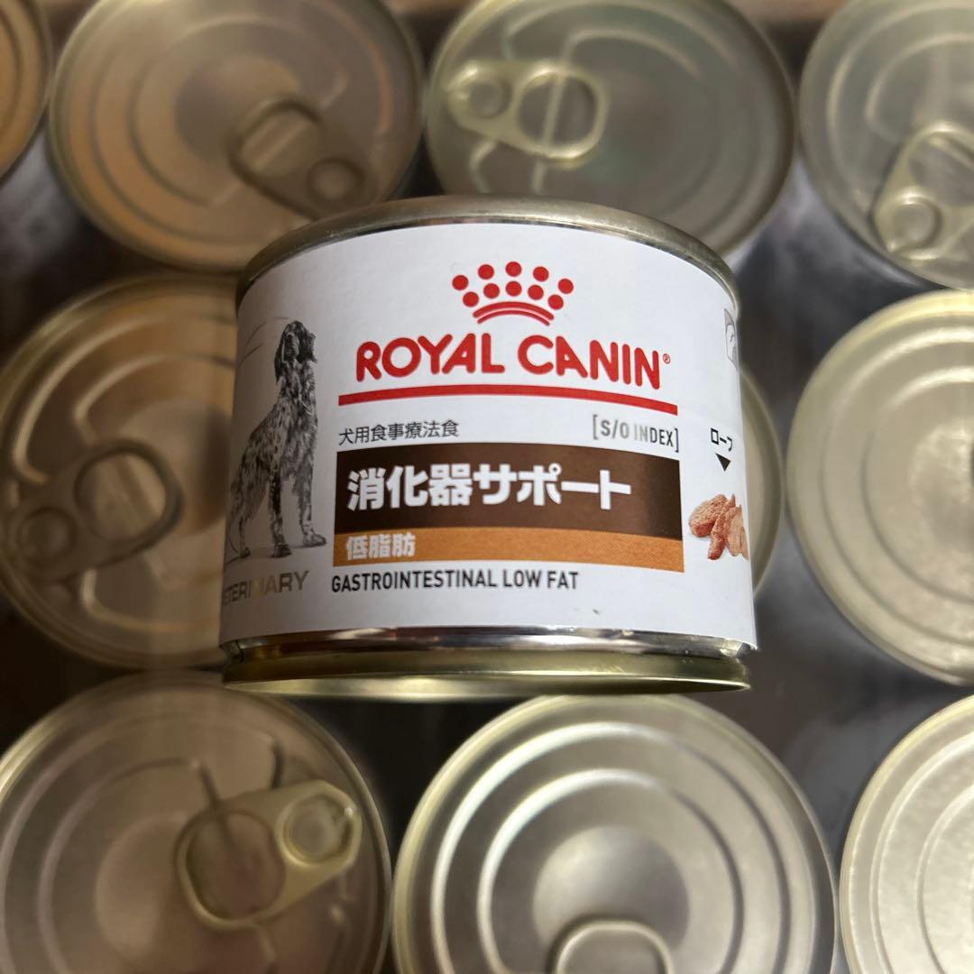  CANIN 消化器サポート 12缶セット +1缶