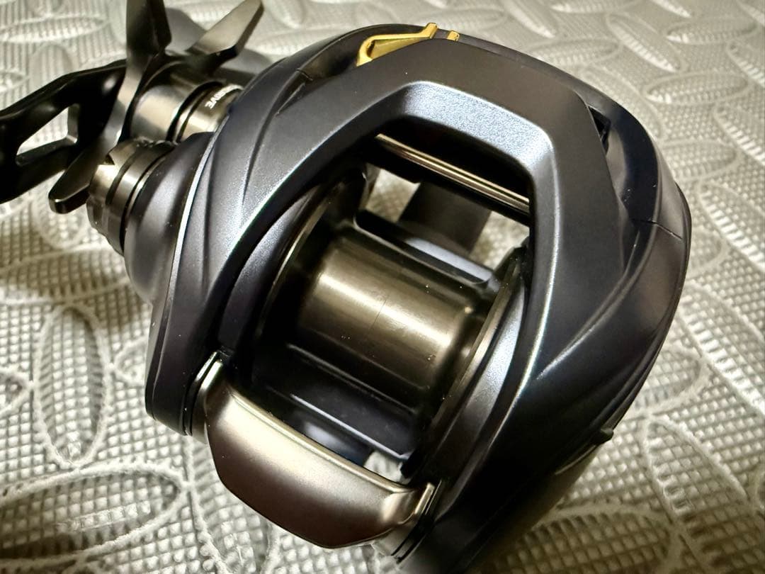 ダイワ スティーズ A II TW 1000L