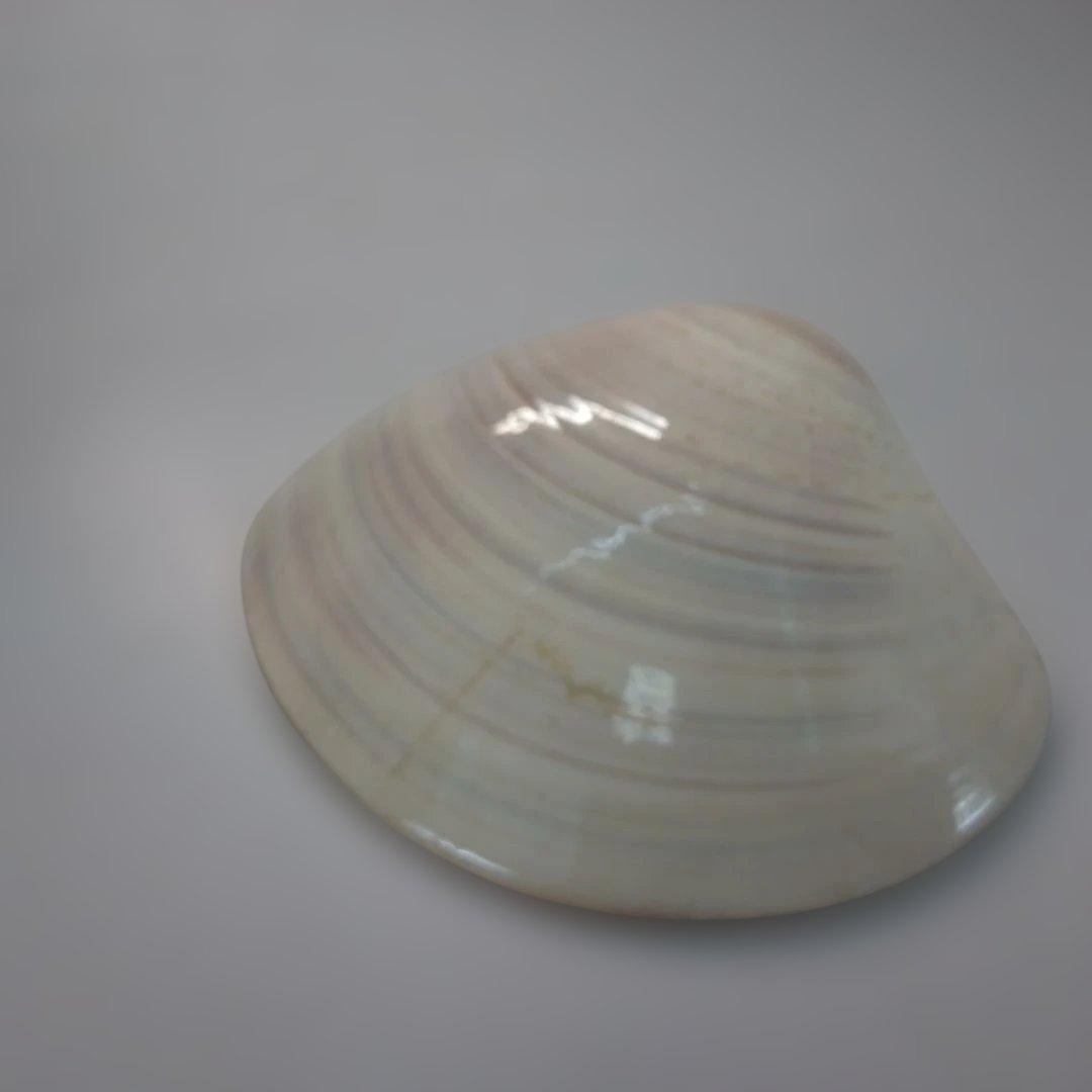 小野小町　蛤　香合