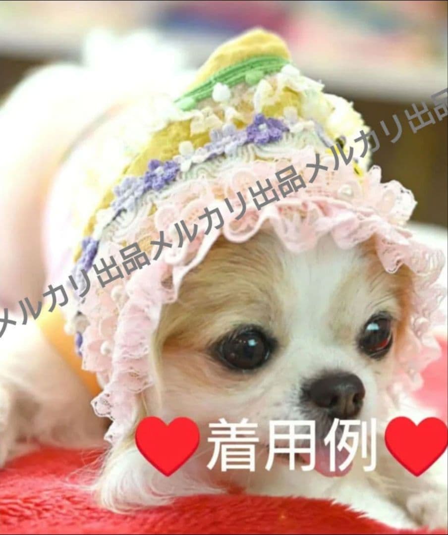 J＆Kanimals　はるちゃんワンピース　限定ワンピース　廃盤品　３ＳーＬ