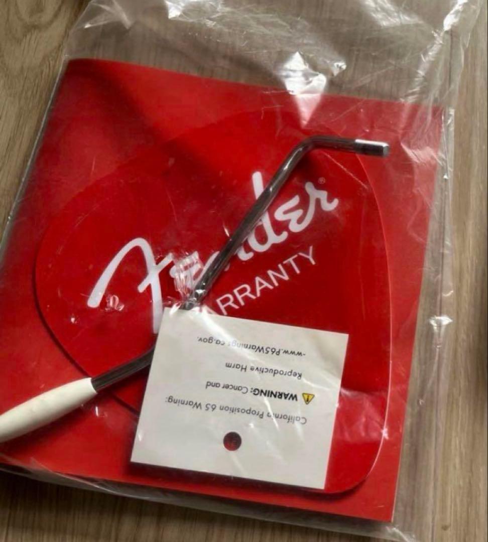 【美品】FenderJapan JD21011981 多めおまけつき