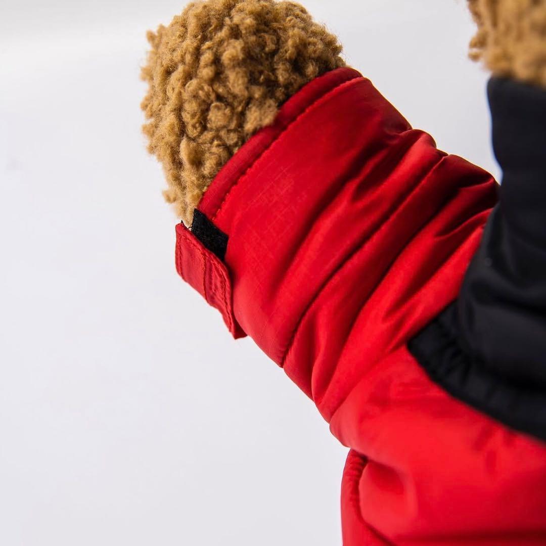 国内正規品▶︎THE NORTH FACE 【ヌプシベア】