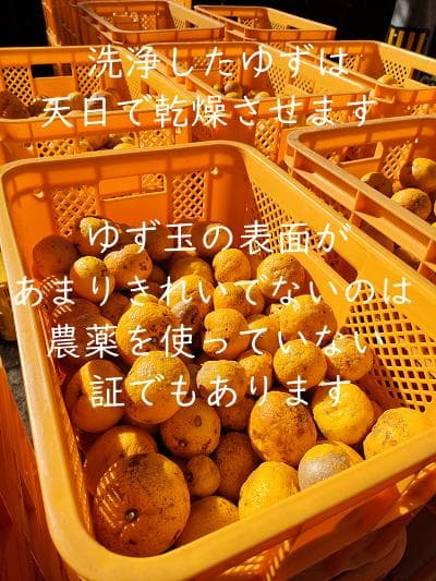 柚のや★送料込★高知県産ゆず酢900ml 6本 旬しぼり★農薬不使用★柚子酢