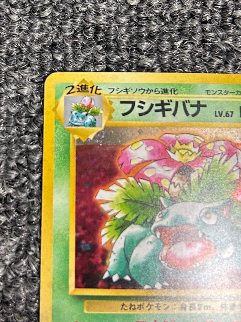 旧裏　フシギバナ　プロモ　とりかえっこプリーズ　ポケモンカード プロモ