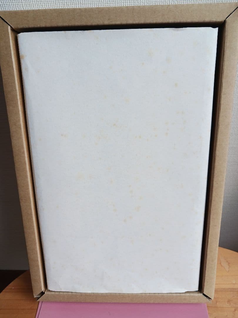 ★王羲之快雪時晴帖★「故宮博物院の名蹟」☆株式会社二玄社★専用ケース付き&箱入り