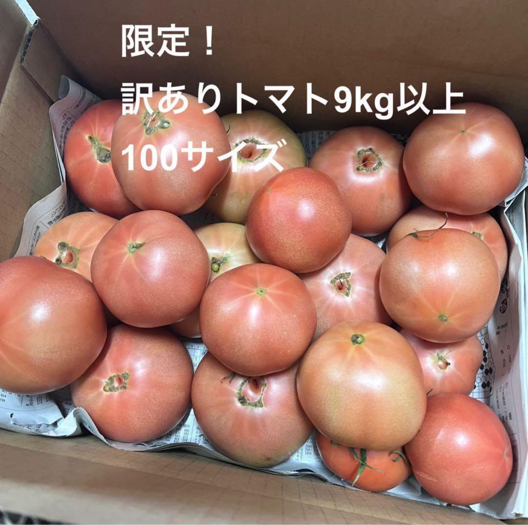 マギ‼️火曜日出荷予定‼️訳ありトマト9キロ以上