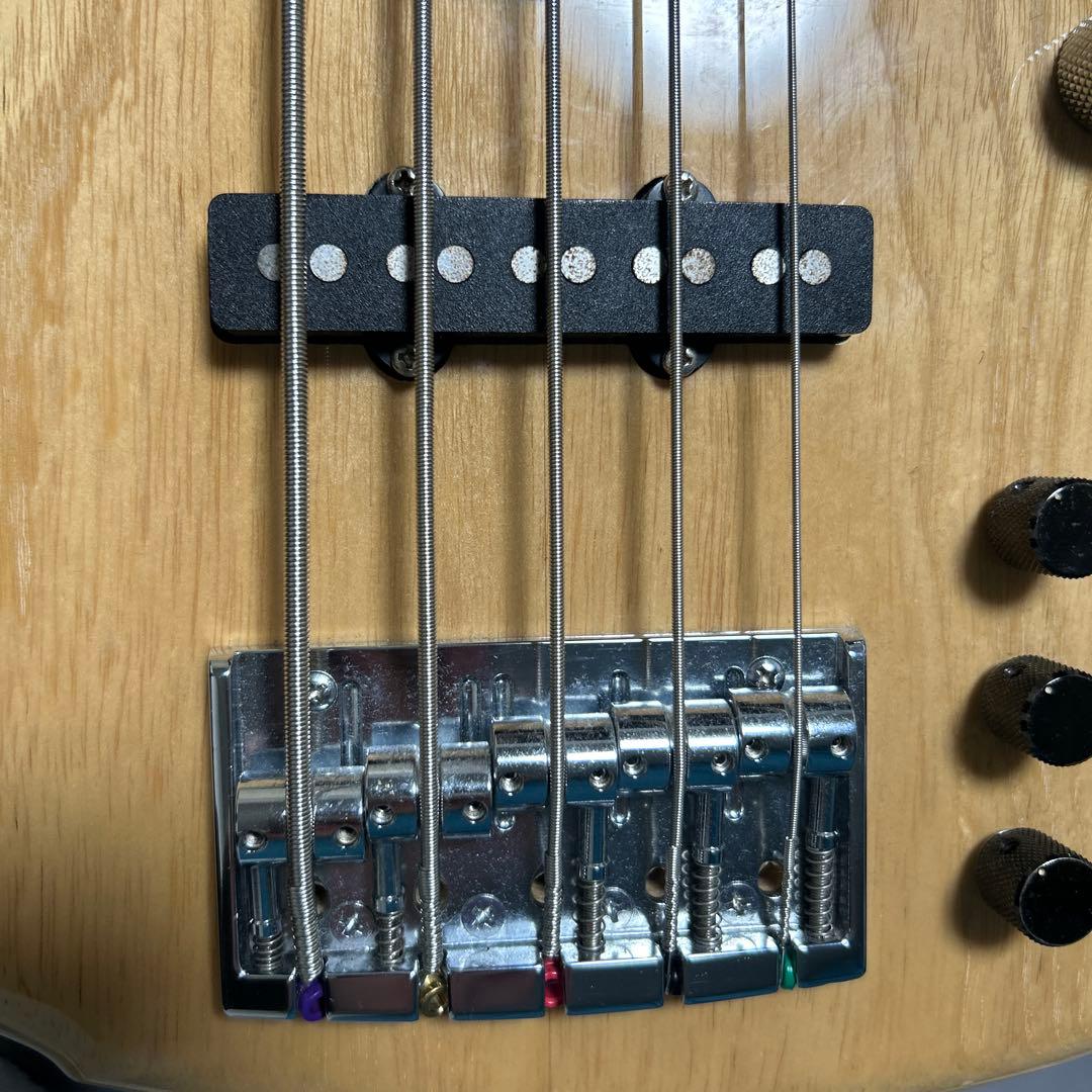 ベース dragonfly CS-5