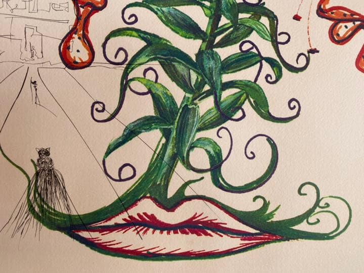 サルバドール・ダリ銅版画 「タイガーリリー虎百合」1972年作品 ダリ直筆サイン