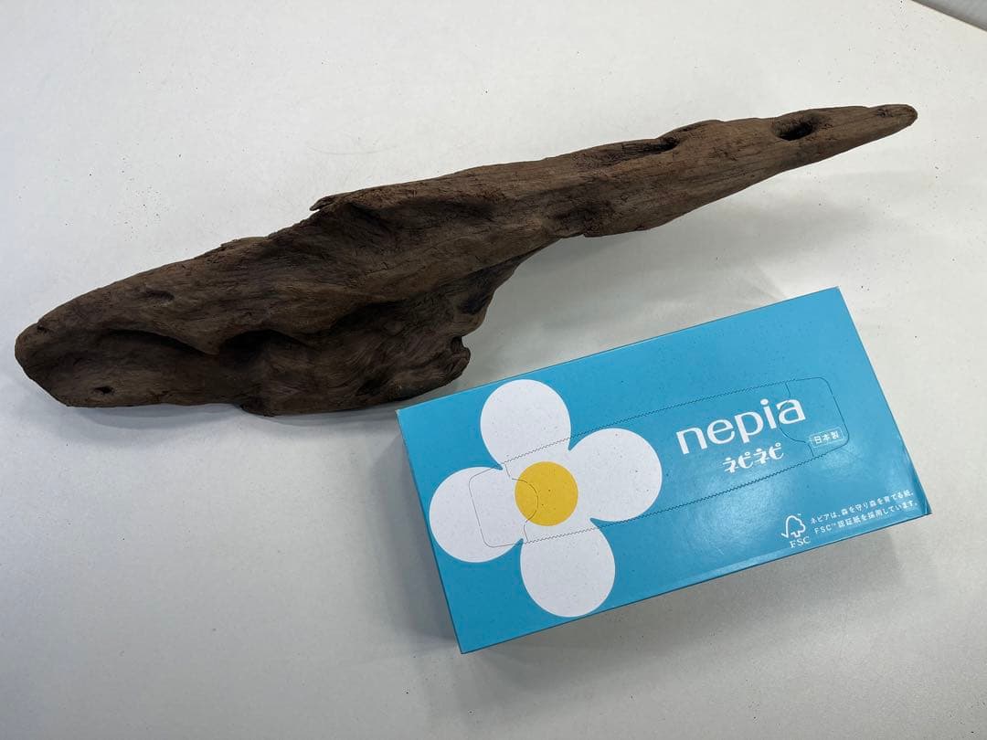 k42アク抜き済み流木 爬虫類シェルター レイアウト用 インテリア エアプランツ