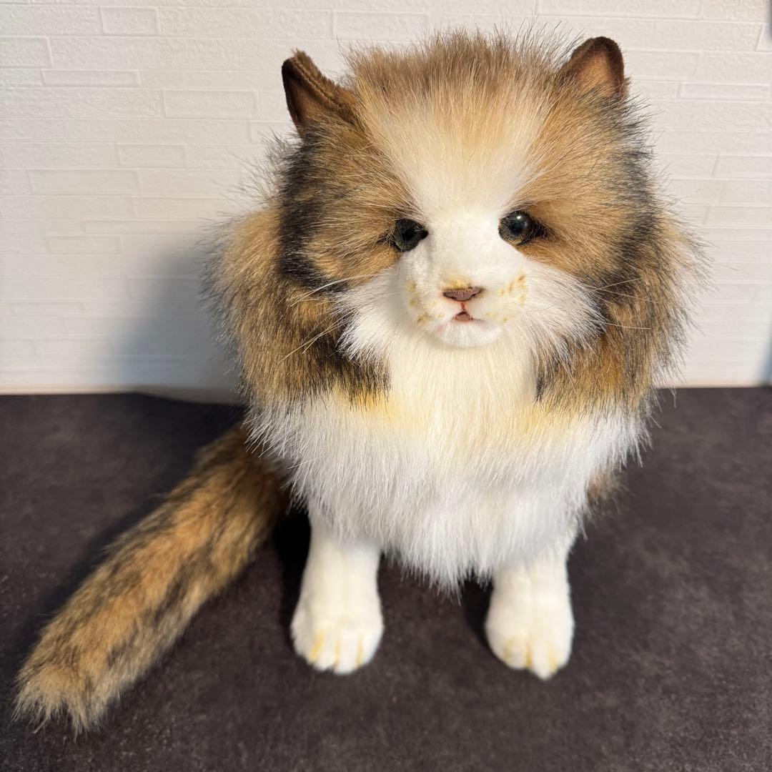 きな○ HANSA （ハンサ）ノルウェージャンフォレストキャット