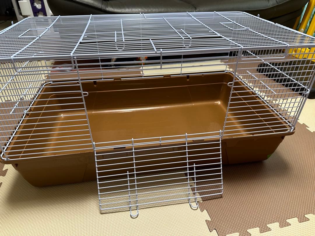 ハリネズミ飼育セット (神奈川付近であれば近くまでお届けも可能です)