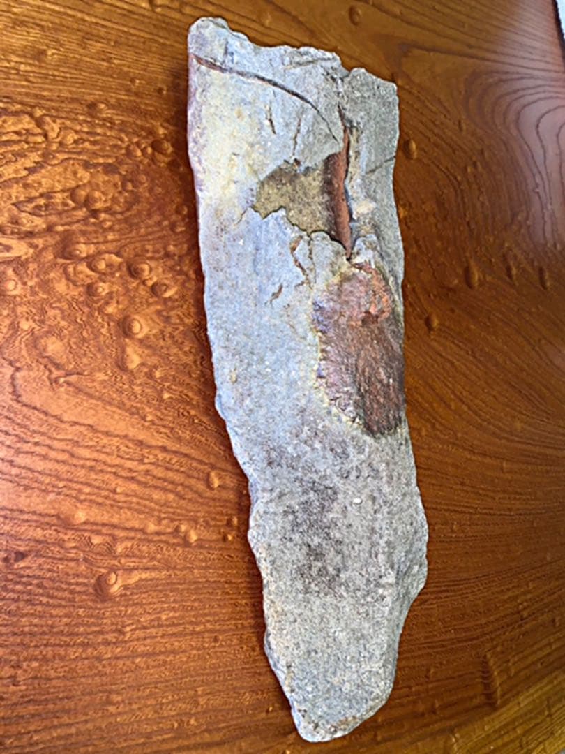 備前焼　ジェフ　シャピロ作　掛け花入　　　　ニューヨーク在住陶芸家　掛け花入