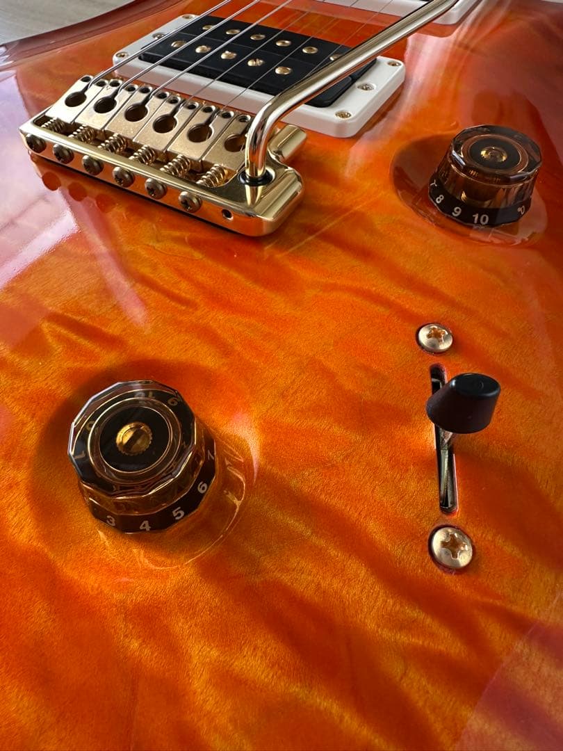 PRS Wood Library Custom24 1pトップ ハカランダ指板