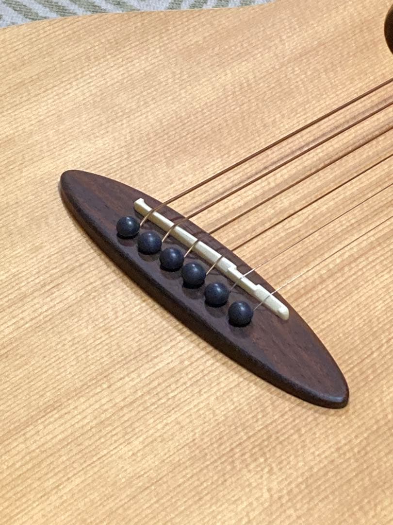 aNueNue Bird M1 アコースティックギター