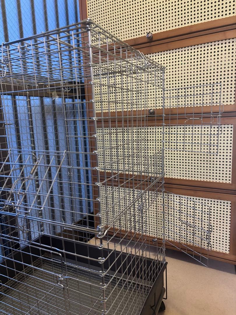 コンフォート60 チンチラスペシャル　カワイ