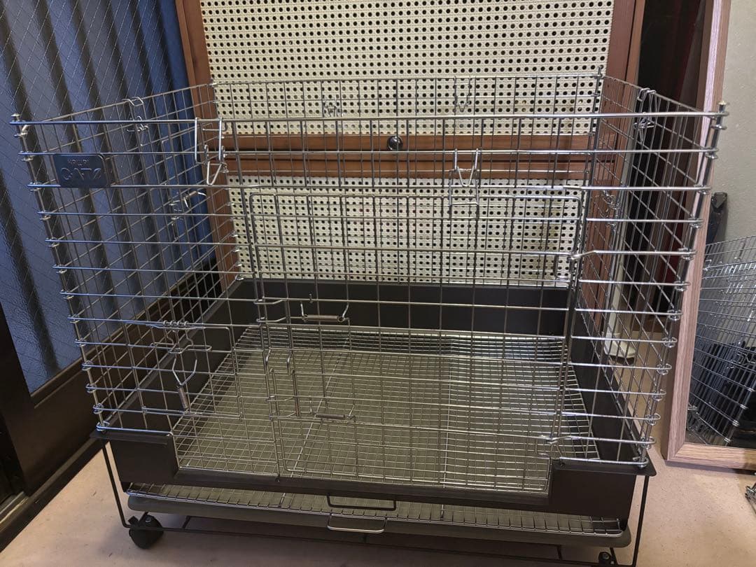 コンフォート60 チンチラスペシャル　カワイ