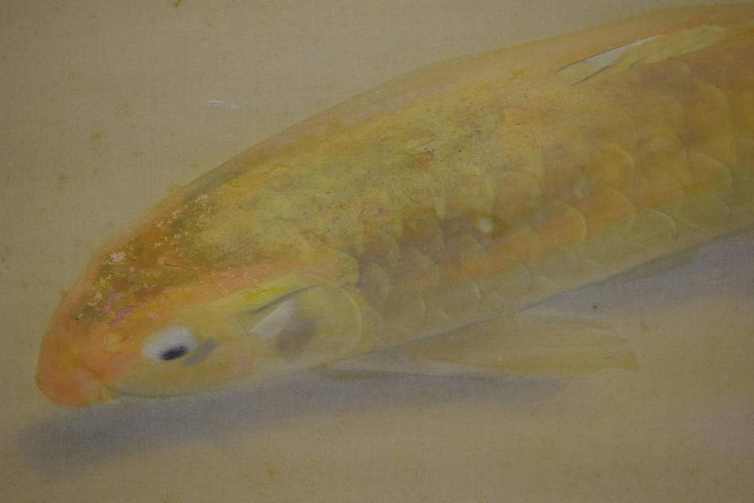 真作/梶喜一/双鯉/桐共二重箱付/布袋屋掛軸HH-34