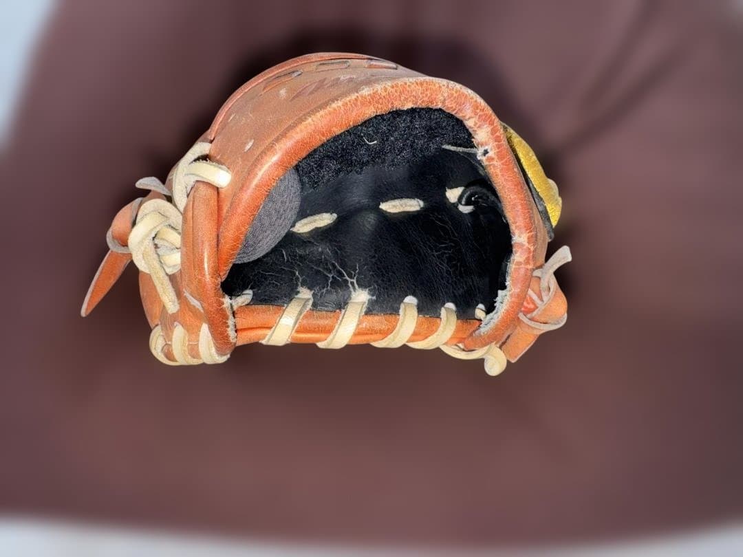 ミズノプロ オーダー 匠仕上 坂本モデル HAGAJAPAN 硬式 5DNA