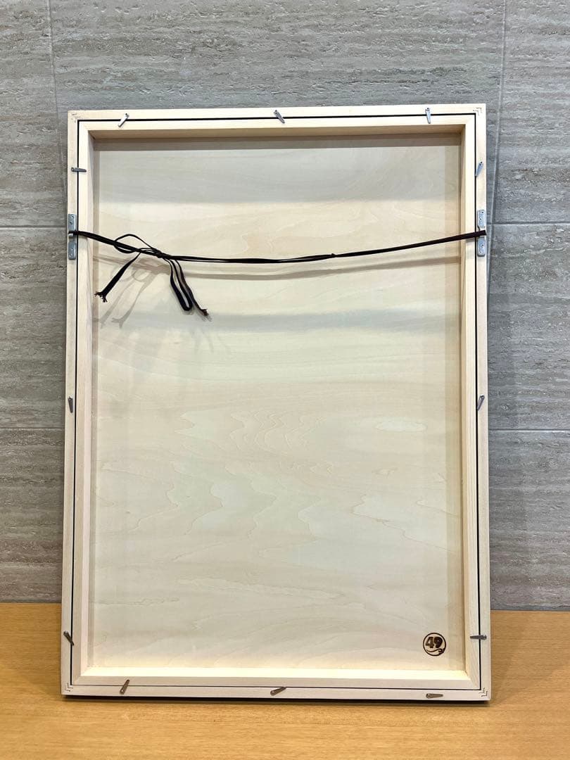 GIRUVI Pachypodium Gracilius グラキリス