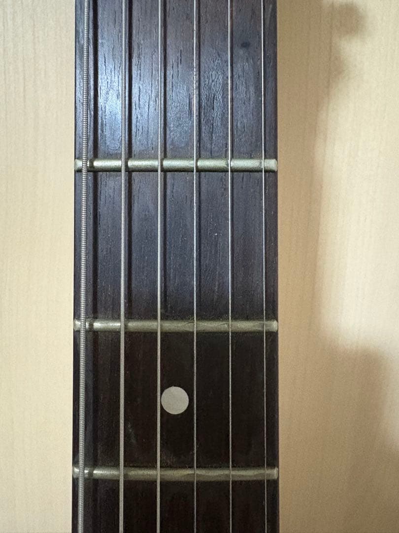 ロストラム Washburn N4 NUNO使用モデル