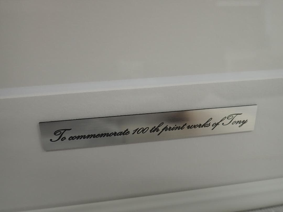 ㉕新品・保証書付 Tony　トニー「アンダルシアの赤 DX」ミクスドメディア