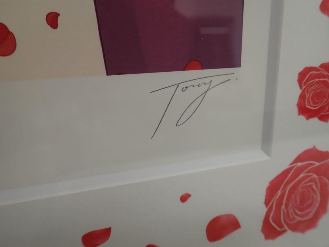 ㉕新品・保証書付 Tony　トニー「アンダルシアの赤 DX」ミクスドメディア