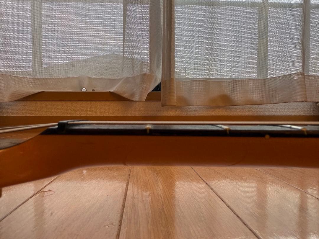 ✨レア美品中古✨Bill Lawrence OBC0 R-55G改 シャケモデル