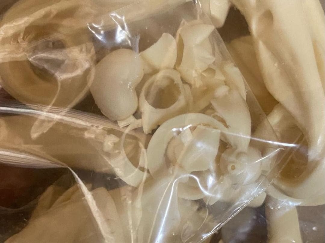 海洋堂 ランス シリーズ ワーグ ガレージキット 鬼畜王ランス アリスソフト