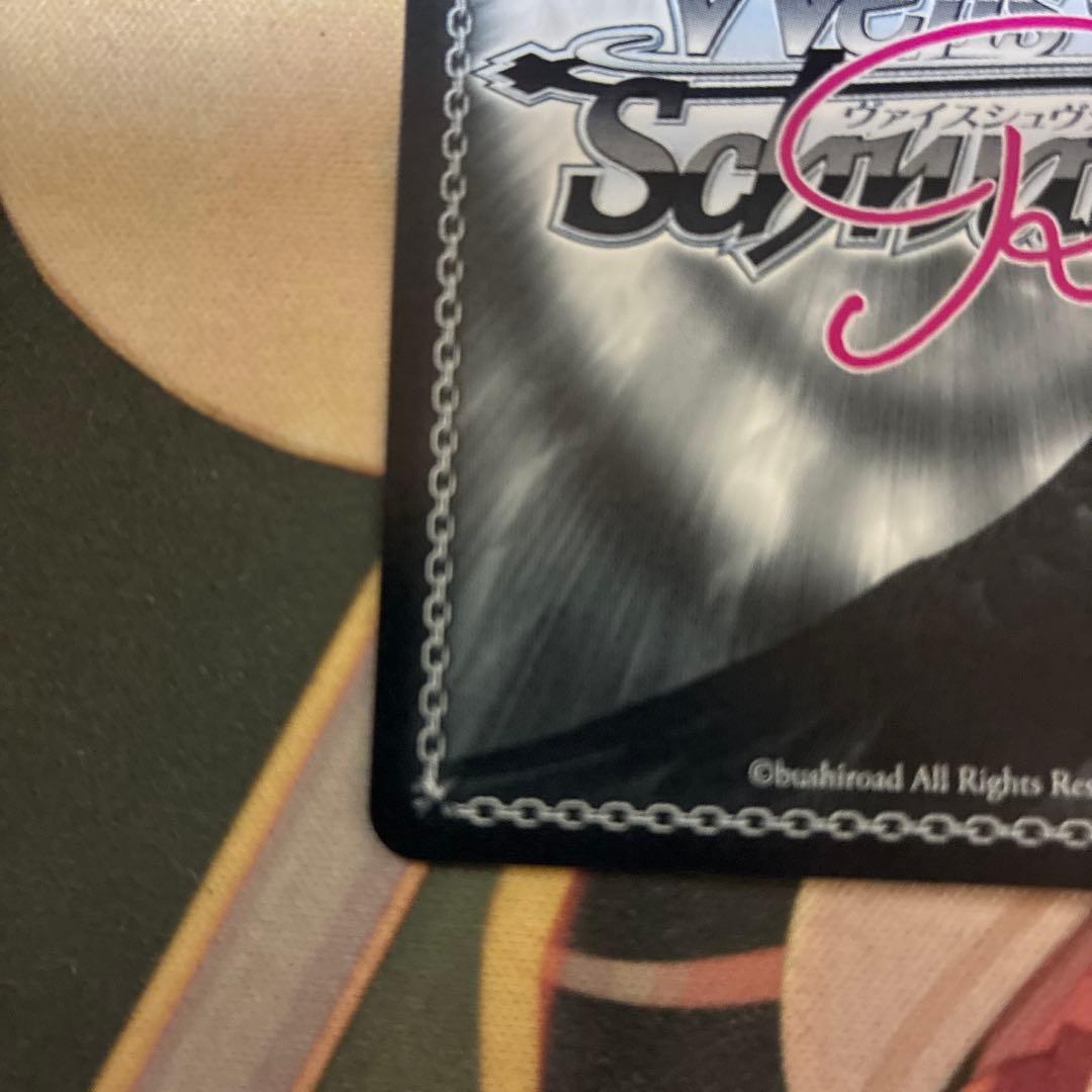 レイル・ロマネスク　ハチロク　ヴァイスシュヴァルツロゼ　SSP