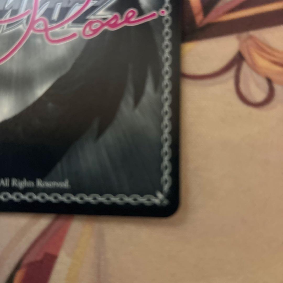 レイル・ロマネスク　ハチロク　ヴァイスシュヴァルツロゼ　SSP