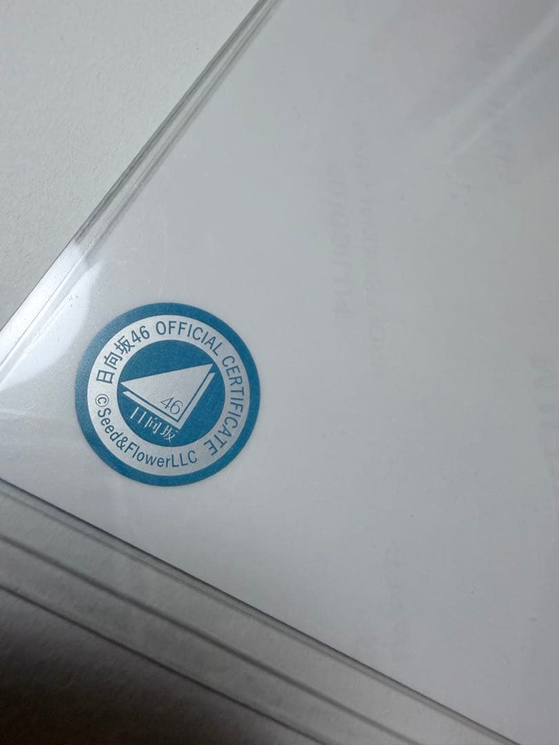 日向坂46 直筆 サイン 生写真 サンタ衣装 渡辺莉奈 ヨリ