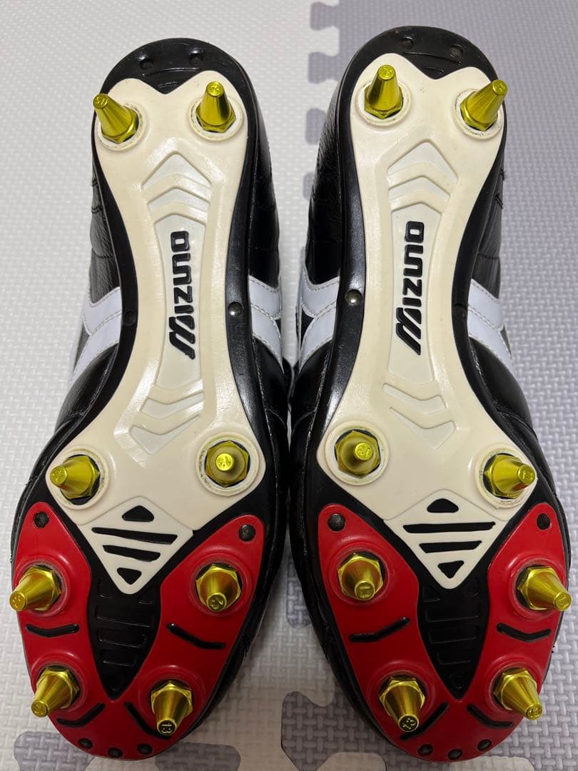 【早い者勝ち】【入手困難】《2.3回使用》モレリア2 SI 取り替え式　28cm