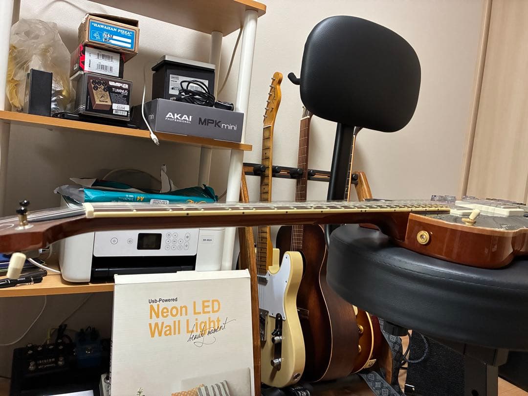 レア希少Paul Reed Smith (PRS) 594 SC Ten Top