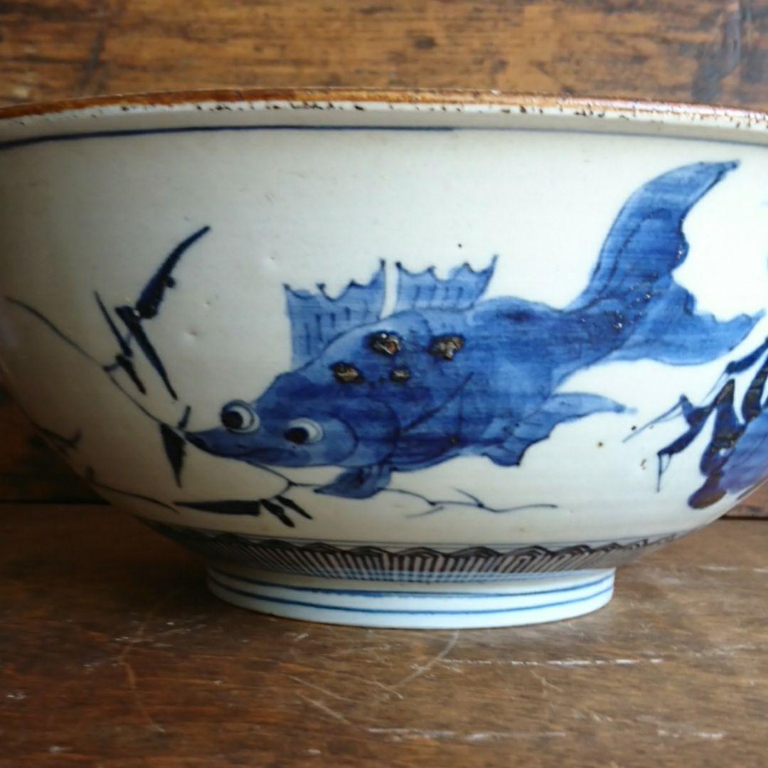 古伊万里 染付 海老蟹魚文大鉢