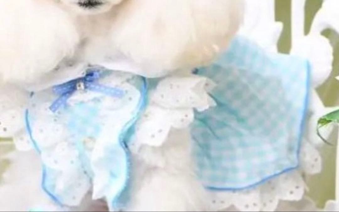 luxebirdieリュクスバーディ ビッシーワンピース バレッタ セット犬服