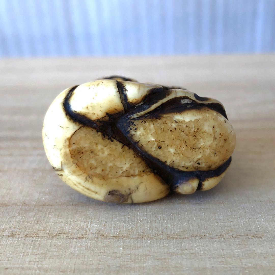 江戸時代　鯨歯　根付け